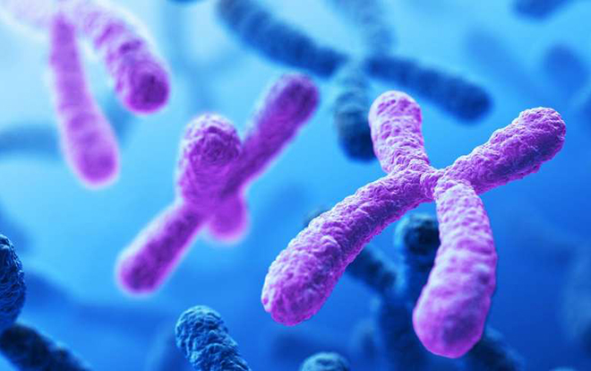 筛查24条染色体可以检测出孕期疾病
