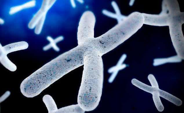 染色体异常是什么原因导致的？染色体异常能要孩子吗