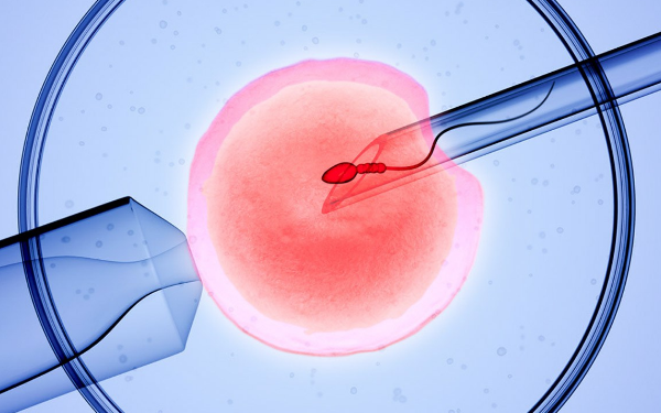 胚胎移植的优势是什么？胚胎移植后应该注意什么？