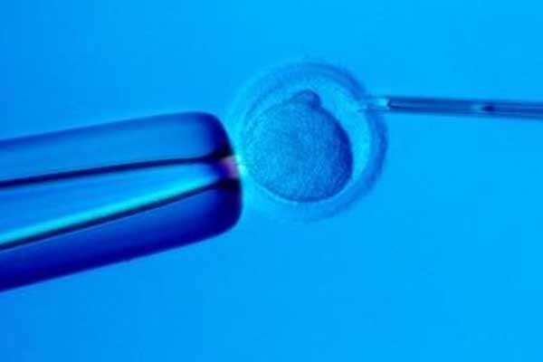 2024吉林三代供卵试管包生男孩医院排名？附试管助孕成功率指南？