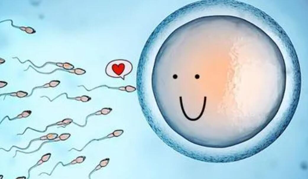 精子等卵子3天能生男孩吗？取卵慢一点能生男孩吗？