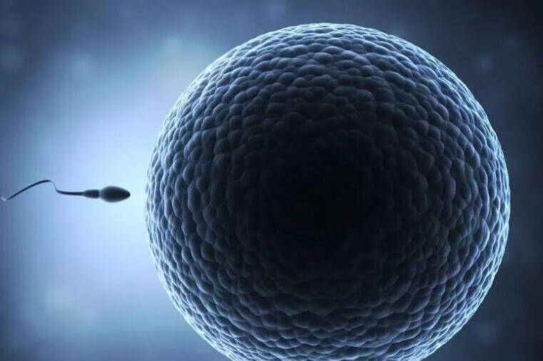 第三代试管包生男孩多少费用？附全试管流程及费用成功率？