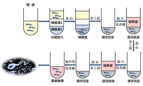 国内做供卵试管合法吗？国内哪些医院做供卵试管