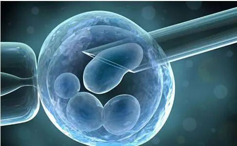 试管婴儿胚胎培养需要多长时间？试管里面胚胎养多久？