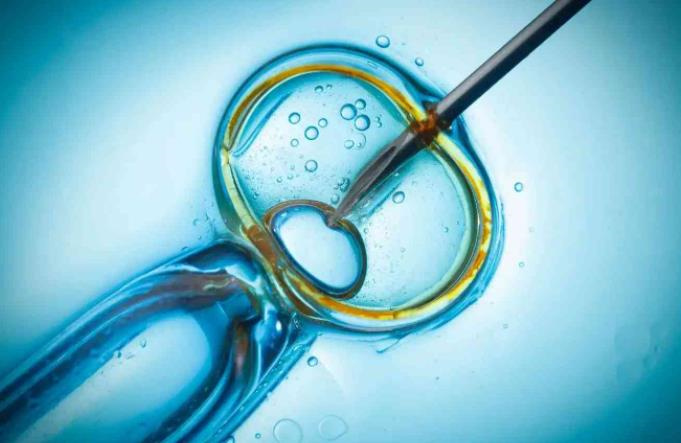 试管ppos方案促排最快多久能移植冻胚？试管ppos方案为什么不能移植鲜胚？