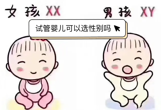 广州供卵试管婴儿费用是多少？试管一代供精的费用是多少？