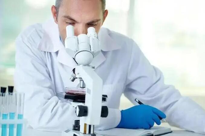 试管男孩机率大吗？附详细概率？