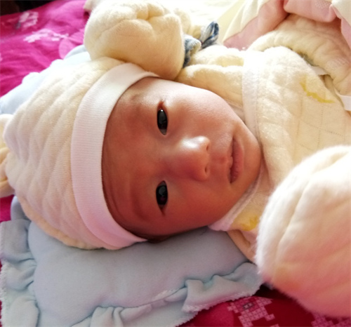 2024福州私立供卵机构名单 附福州试管婴儿费用参考