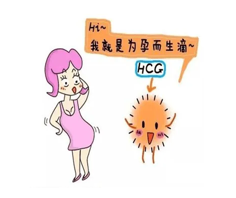 HCG多少可以确定自己怀孕了，HCG的正常值是多少