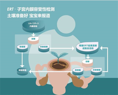 深圳试管婴儿费用大概要多少钱？深圳可做三代试管的医院有哪些？