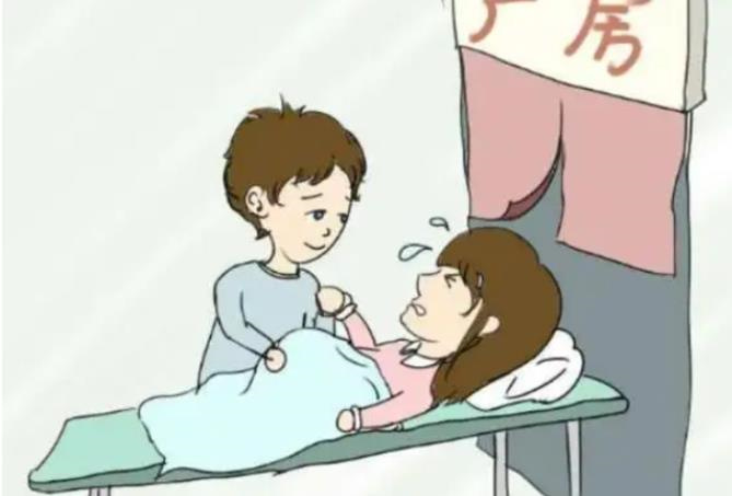 2024年在杭州邵逸夫做第三代试管要多少钱？试管婴儿成功率有多高