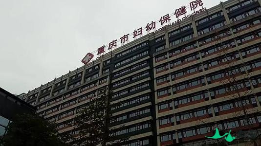 重庆试管婴儿医院有哪些医院能做试管？