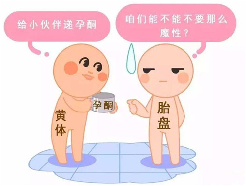 高龄绝经能做试管吗？高龄绝经女性可以借卵做试管吗