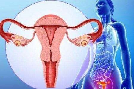 卵巢早衰能做供卵试管吗？卵巢早衰能自然怀孕吗？