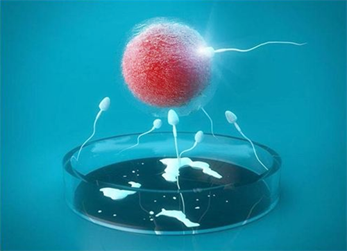 试管婴儿一次移植几个胚胎好 怎样做试管才有希望一次成功