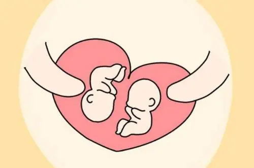 试管婴儿双胞胎成活率高吗？试管婴儿双胞胎龙凤胎几率有多大？