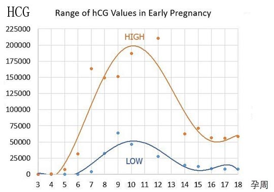 做试管婴儿期间HCG正常值参考