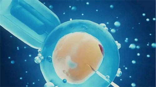 杭州三代供卵试管医院推荐 附供卵试管的基本条件介绍