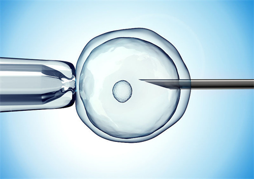 什么情况建议做供卵试管 供卵试管婴儿流程是怎么样的