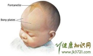 宝宝头部的护理原来如此重要如何呵护宝宝的囟门
