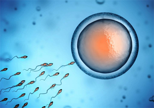 患有卵巢早衰选择做供卵试管能成功受孕吗 高龄女性供卵试管真实案例分享