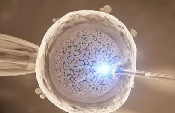 山大生殖试管婴儿一次成功几率多少？山大生殖中心做供精试管的条件有哪些？
