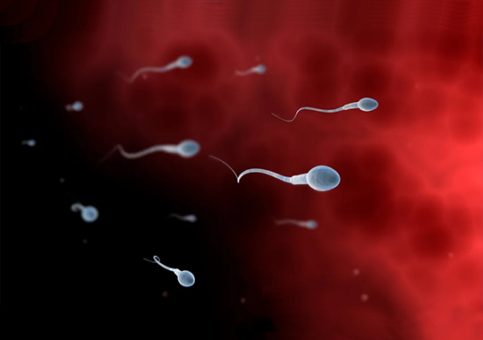 精子成活率只有15%能不能做试管婴儿?