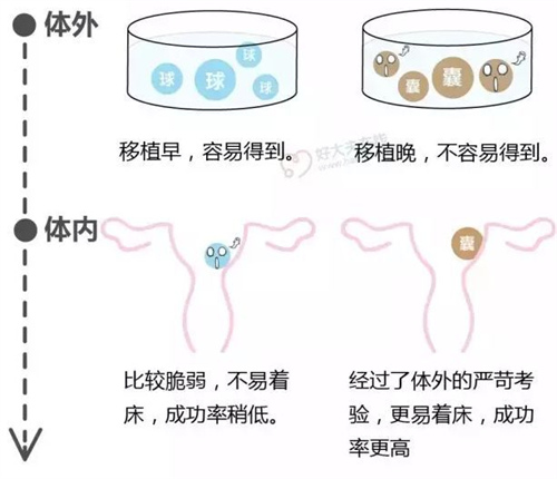 供卵试管要满足什么条件？北华大学附属医院供卵试管婴儿怎么样？