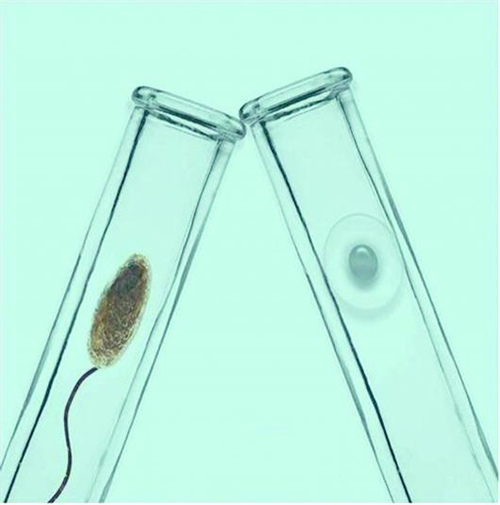 用精子库中的精子做试管费用要多少？哪些情况可以做供精试管？
