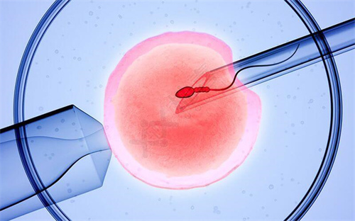 做试管培养囊胚有什么好处？哪些人适合囊胚培养