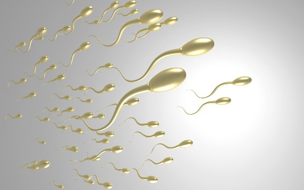 供卵试管婴儿成功率多少？昆明供卵试管包生男孩费用多少？