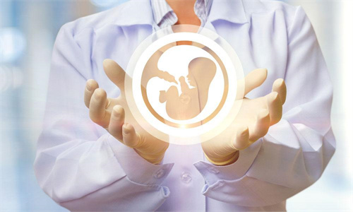 供卵试管冻胚移植成功率多少？单角子宫合并残角子宫供卵生孩子移植囊胚成功率高吗？