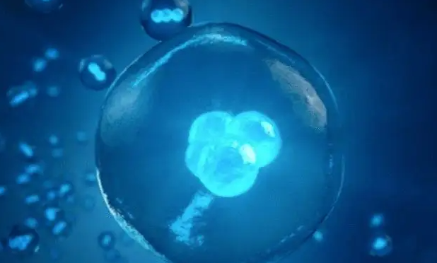 试管胚胎是怎样进行冷冻的？胚胎冻存需要什么条件？