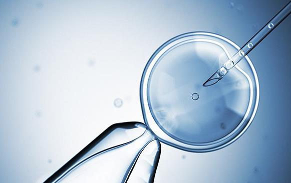 试管医生在移植囊胚期间可以看出男女性别吗？什么是囊胚活检？