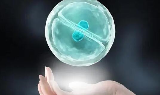 移植囊胚第几天能测出来？试管移植第28天症状有哪些？