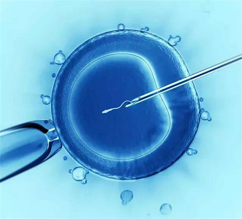 试管婴儿是什么意思？试管婴儿胚胎移植内膜多少为正常值？