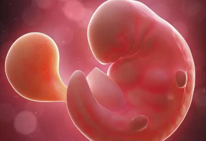 胎停育最明显的4个征兆有哪些？胎停育的征兆一览