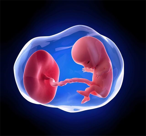试管胚胎筛查费用多少？三代试管婴儿可以胚胎筛选吗？