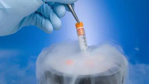 泰国做供卵试管需要注意什么？可以去泰国做三代试管婴儿吗？