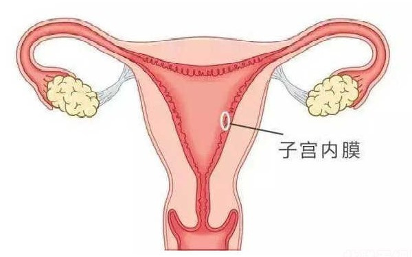 卵巢早衰能做供卵试管吗？子宫萎缩能做试管婴儿吗？