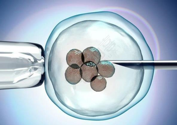 特纳氏综合征供卵试管婴儿流程是怎样的？供卵试管婴儿想要双胞胎应该怎么做？