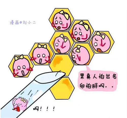 上海哪家医院能做供卵试管婴儿？怎样选择试管婴儿医院？