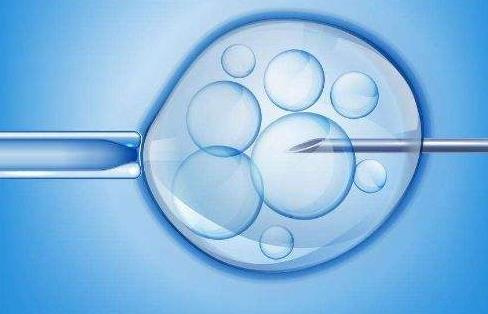 2024武汉供卵试管婴儿费用一览，附武汉供卵试管医院推荐