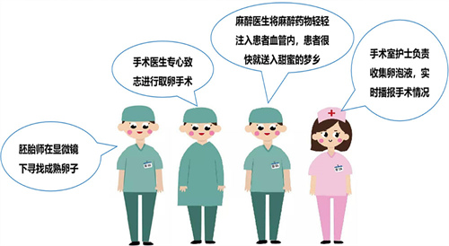 上海有哪些私立供卵试管的医院？