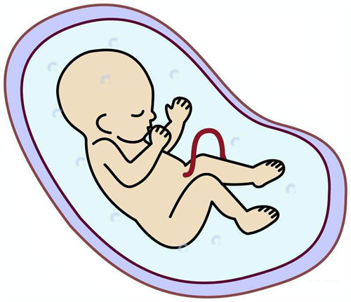 孕期怎么算孕周？备孕期糖尿病怎么办？