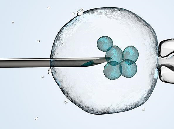 2024年济南山大生殖医院供卵卵源需要等多久？