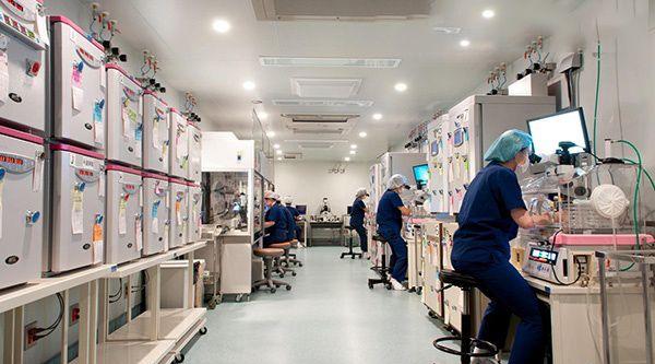 解析：日本英医院生殖中心试管婴儿成功率为何能达到80%