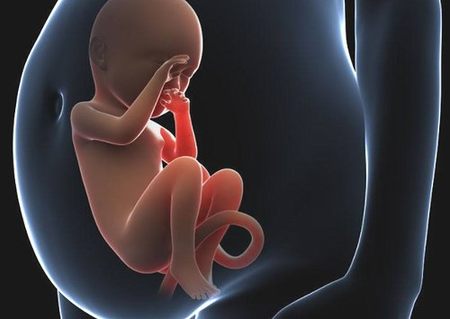 鲜胚移植好还是冻胚移植好，子宫环境和年龄才是决定因素