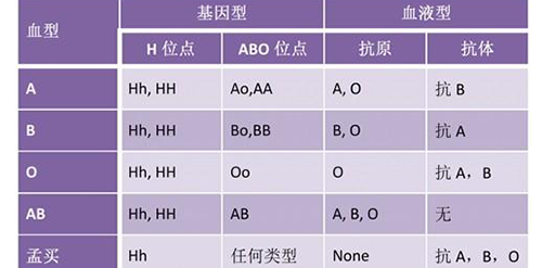 孟买血型有什么好处与危害？