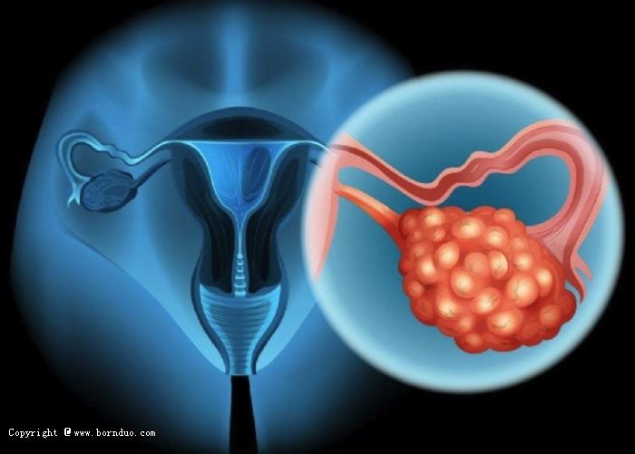 促排用药中卵巢功能反应差是什么原因?